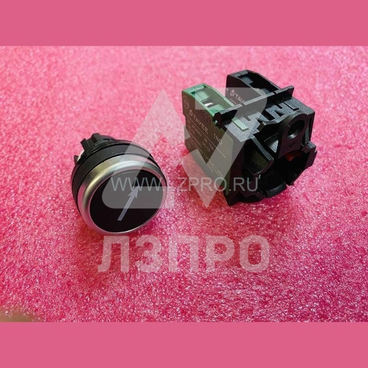 Кнопка с стрелкой 1NO 1NC LA42 TAYEE